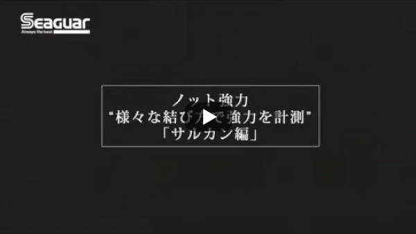 ノット強度検証　サルカン編