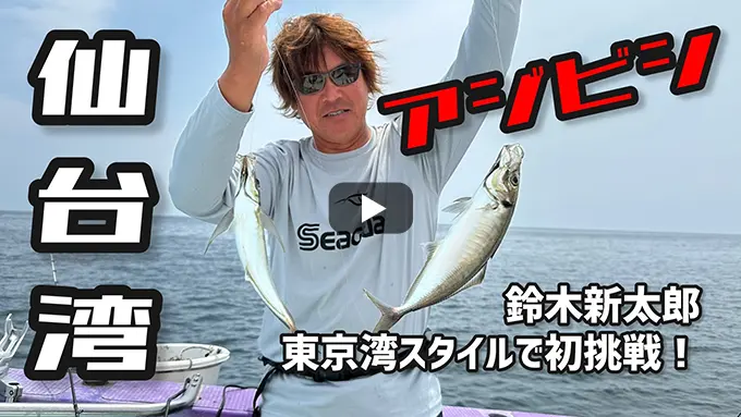 鈴木新太郎がアジビシ釣りを徹底解説！in仙台湾 2024シーガーチャンネル