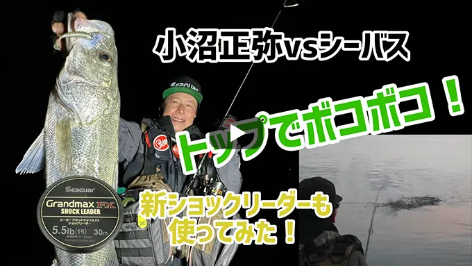 小沼正弥vsシーバス　トップでボコボコ！In秋田　2025シーガーチャンネル