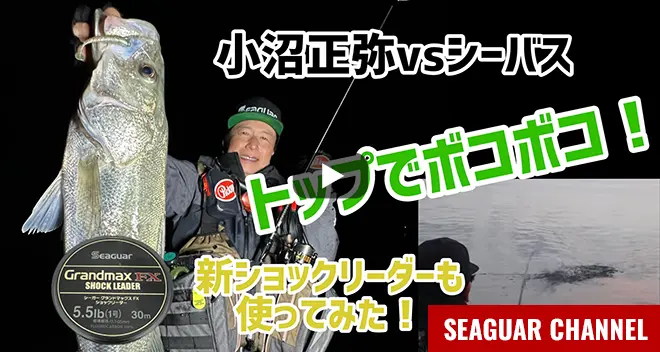 小沼正弥vsシーバス　トップでボコボコ！In秋田　2025シーガーチャンネル