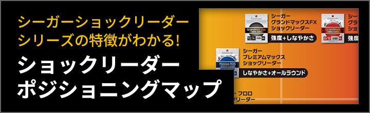 ポジショニングマップ
