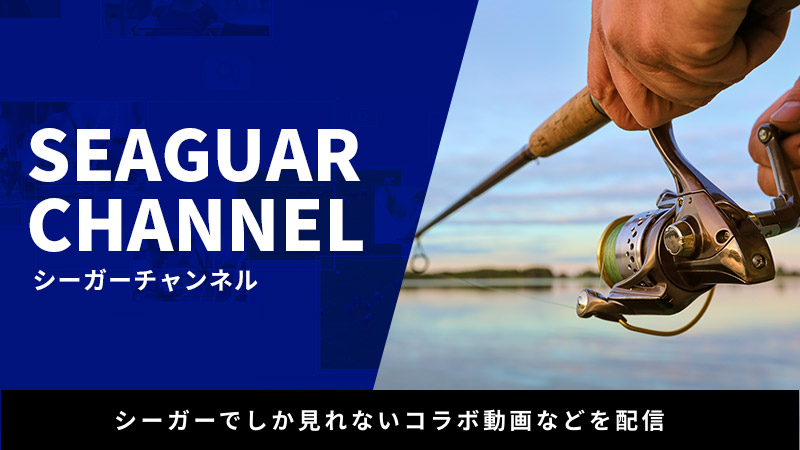 SEAGUAR CANNEL