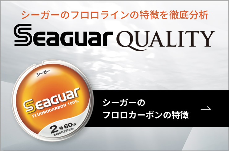 シーガーで十分だ