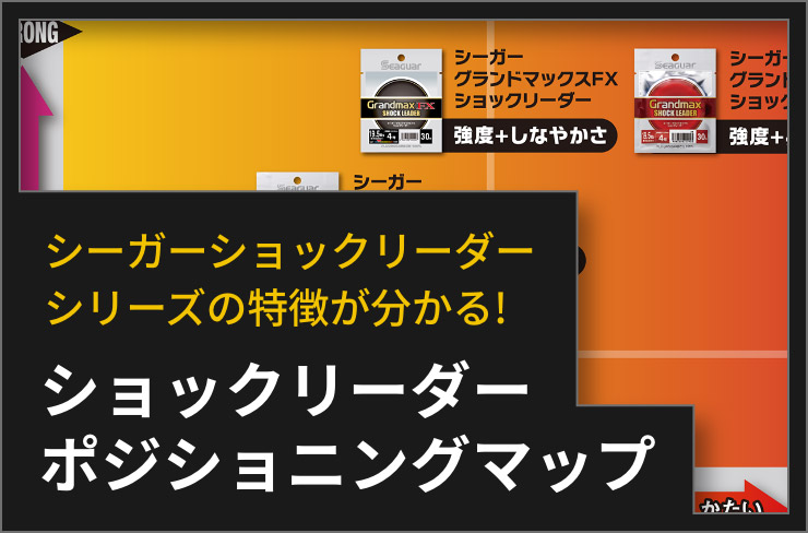 ショックリーダー ポジショニングマップ